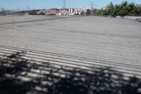 miotto_foto7